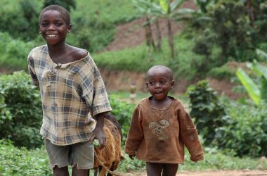 790a3b86705480a5aefef21a7531e63aa3619ef9